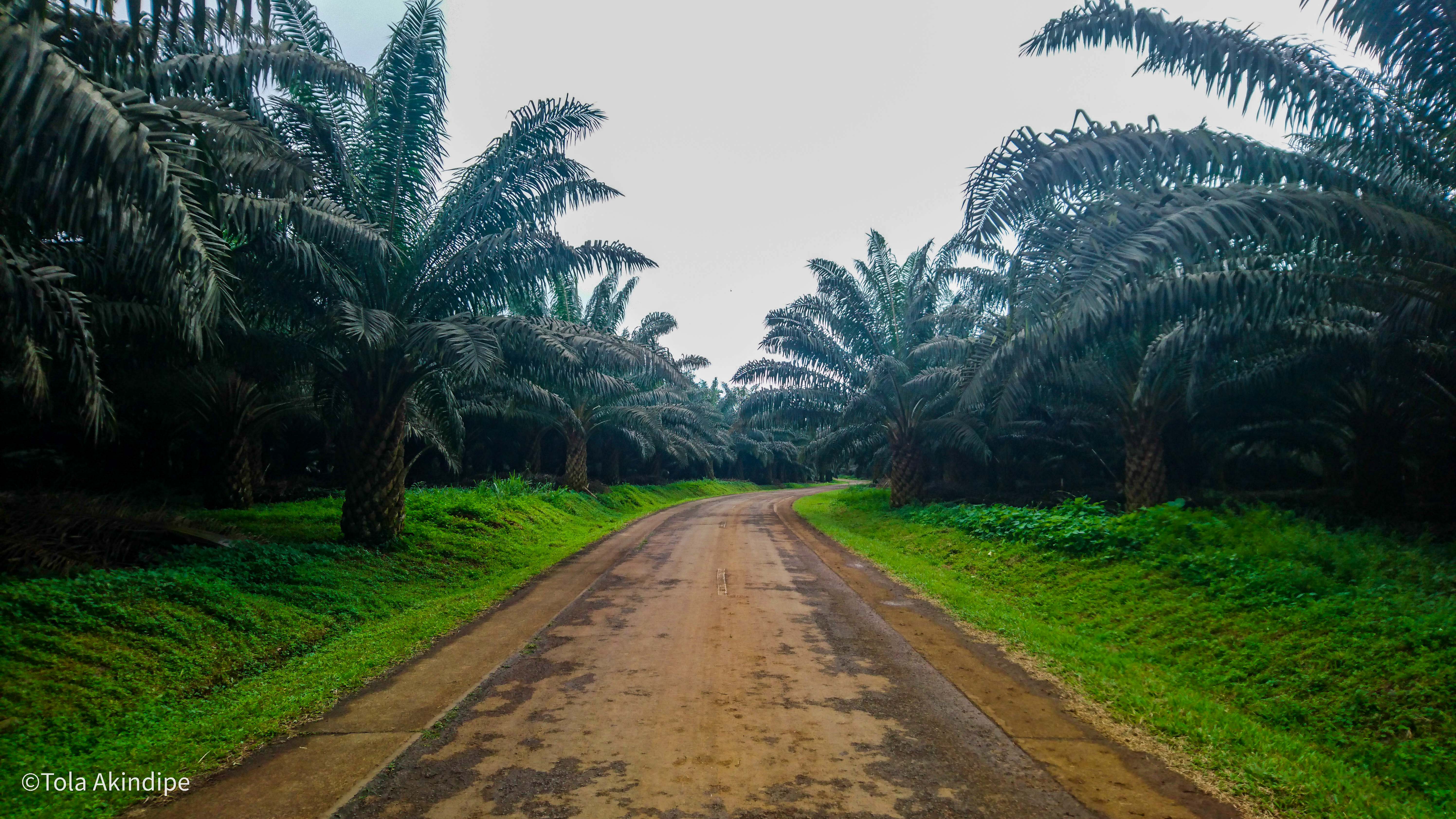 Sao Tome Rural Area